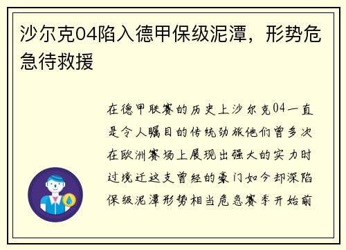 沙尔克04陷入德甲保级泥潭，形势危急待救援