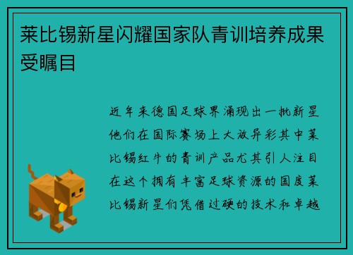 莱比锡新星闪耀国家队青训培养成果受瞩目