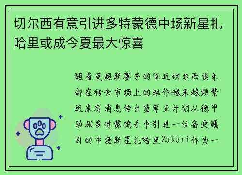 切尔西有意引进多特蒙德中场新星扎哈里或成今夏最大惊喜