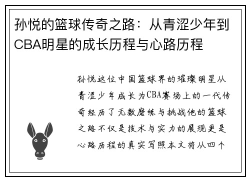 孙悦的篮球传奇之路：从青涩少年到CBA明星的成长历程与心路历程